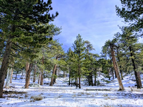 有关冬季, 冬季景觀, 地面的免费素材图片