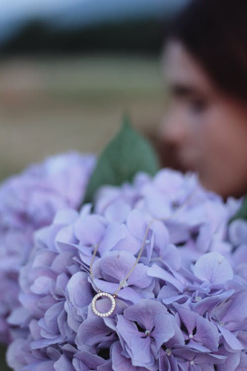 有关浅焦点, 特写, 紫色的花朵的免费素材图片