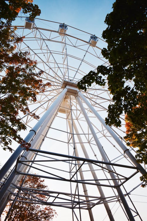 有关低角度拍攝, 垂直拍摄, 大的免费素材图片