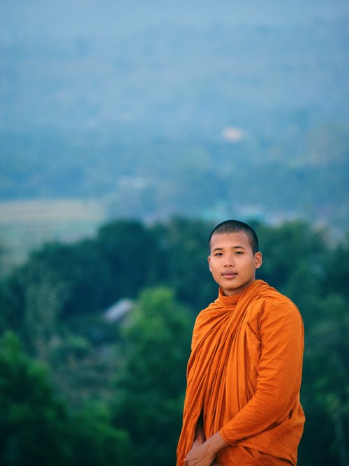 有关佛教徒, 僧侶, 天性的免费素材图片