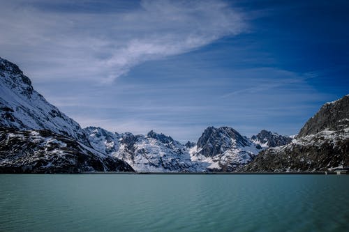 有关冬季, 大雪覆盖, 天性的免费素材图片