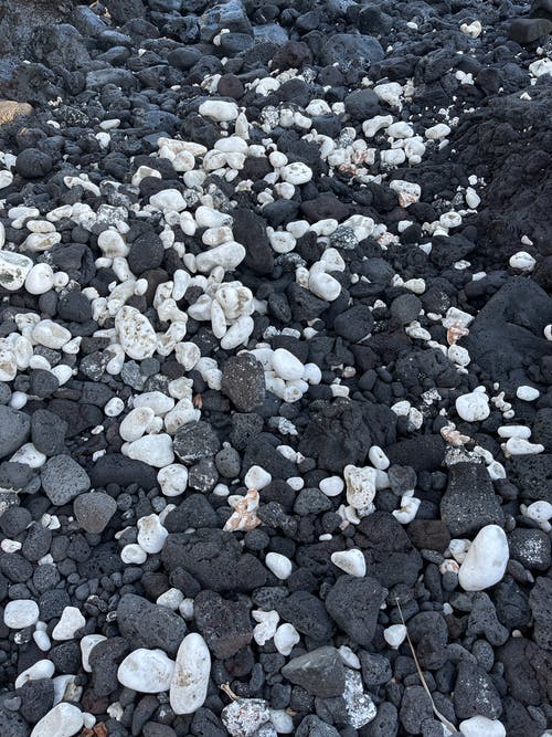 有关卵石, 地面, 垂直拍摄的免费素材图片