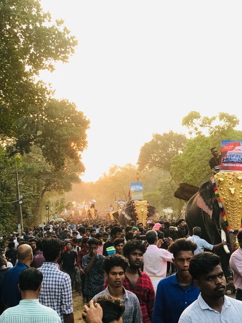 有关人群, 垂直拍摄, 大象的免费素材图片