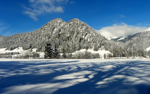 有关冬季, 大雪覆盖, 天性的免费素材图片