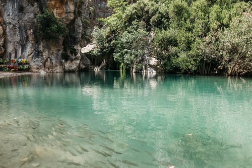有关天性, 山区河流, 岩石的的免费素材图片