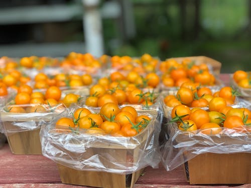 有关可口的, 小蕃茄, 收成的免费素材图片