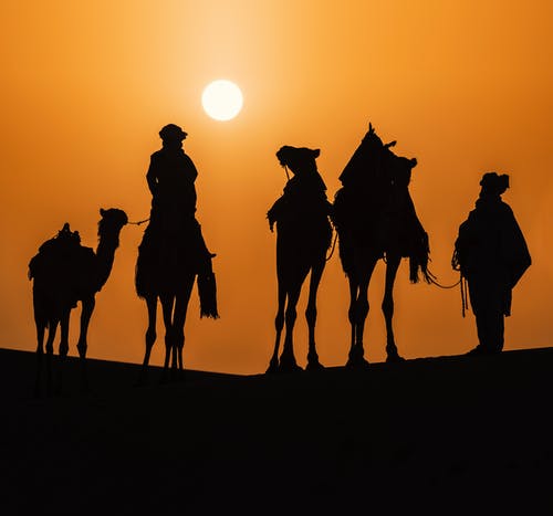 有关剪影, 太陽, 沙漠的免费素材图片