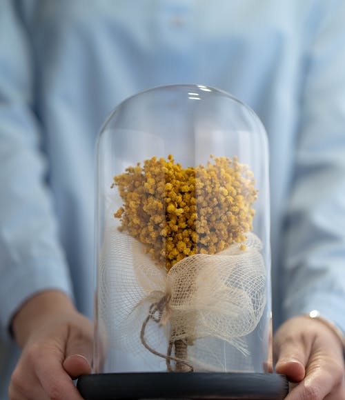 有关垂直拍摄, 封面, 手的免费素材图片