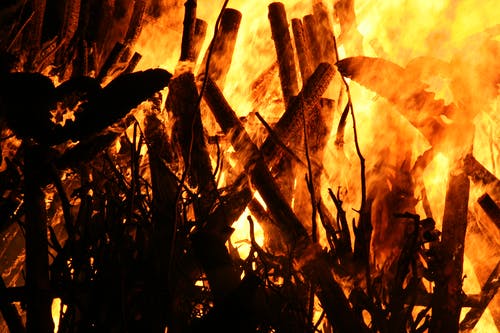 有关柴火, 火, 火堆的免费素材图片