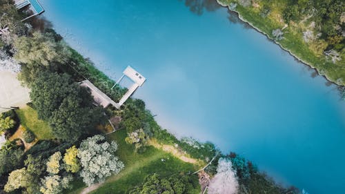 有关岸邊, 樹木, 水的免费素材图片