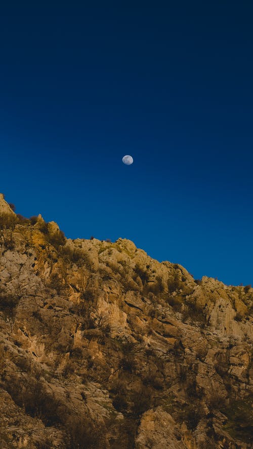 有关垂直拍摄, 天性, 景觀的免费素材图片