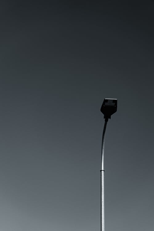 有关單色, 垂直拍摄, 灰階的免费素材图片