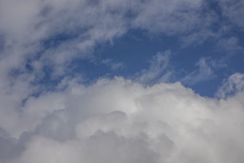 有关天空, 毛茸茸的, 氣氛的免费素材图片