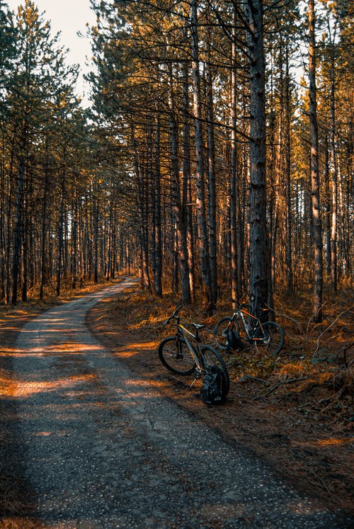 有关停, 垂直拍摄, 小路的免费素材图片