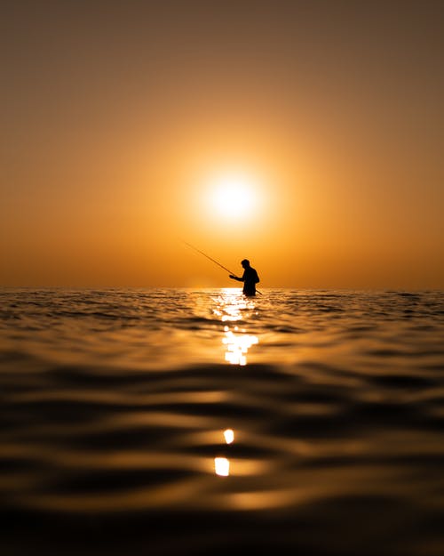 有关剪影, 垂直拍摄, 太陽的免费素材图片