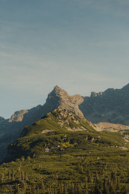 有关垂直拍摄, 樹木, 田的免费素材图片