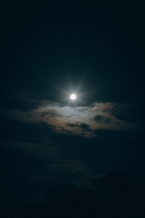 有关垂直拍摄, 夜空, 晚上的時間的免费素材图片