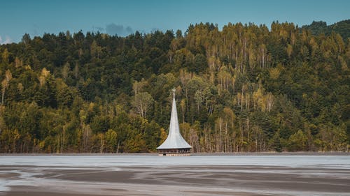 绿树 · 免费素材图片