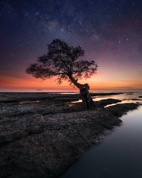 有关剪影, 垂直的, 夜空的免费素材图片