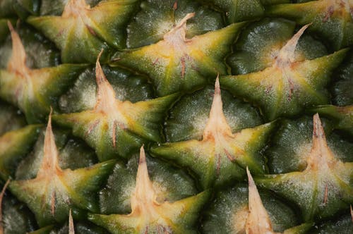 绿色和黑色菠萝果实 · 免费素材图片