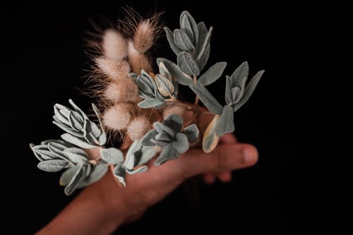 有关乾燥, 工作室拍摄, 工厂的免费素材图片