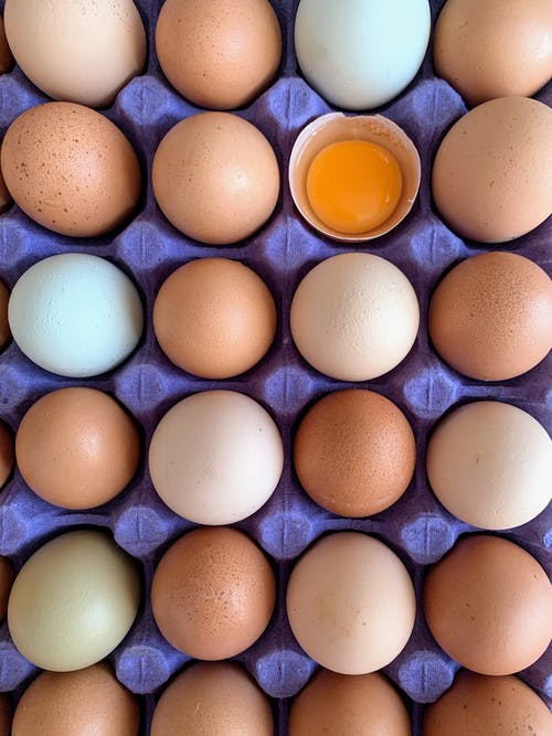 有关垂直的, 棕色的鸡蛋, 蛋托盘的免费素材图片