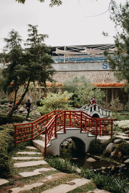 有关垂直拍摄, 天性, 樹木的免费素材图片