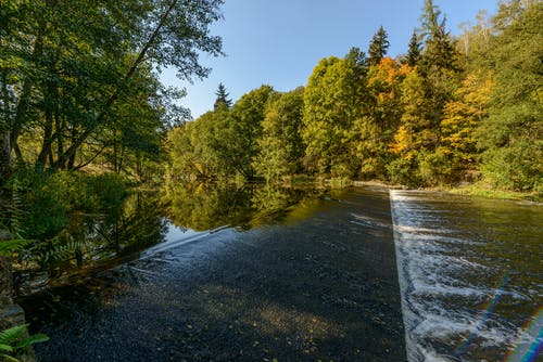 有关天性, 小河, 戶外的免费素材图片