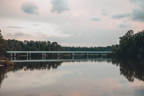 有关天性, 天空, 思考的免费素材图片