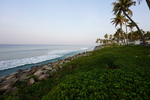 有关假期, 天堂, 天性的免费素材图片