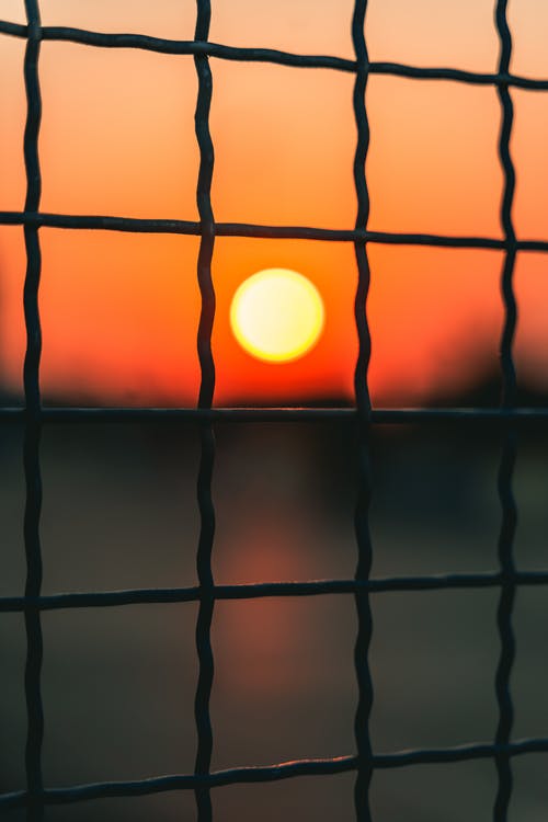 有关剪影, 围栏, 垂直拍摄的免费素材图片