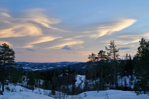 有关冬季, 冰, 冷的免费素材图片