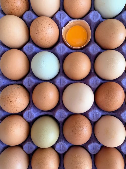 有关垂直的, 有養分的, 棕色的鸡蛋的免费素材图片