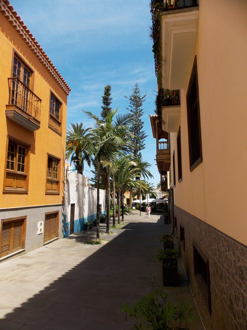 有关假期, 垂直拍摄, 外觀的免费素材图片