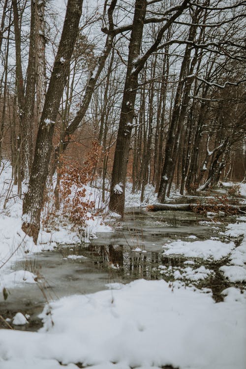 有关冬季, 冰, 冰凍的湖面的免费素材图片