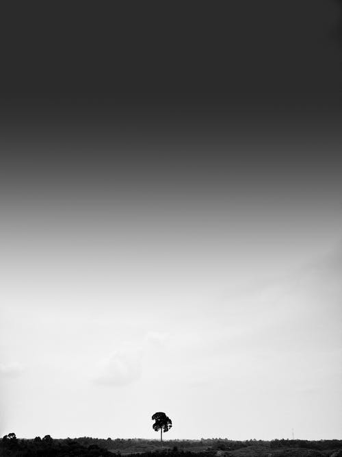 有关剪影, 單色, 垂直拍摄的免费素材图片