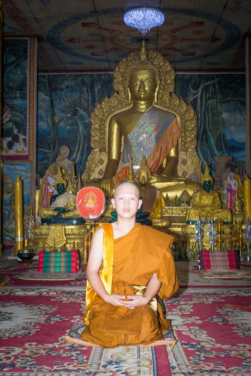 有关人, 佛教, 僧侶的免费素材图片