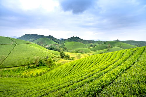 有关丘陵, 农业用地, 天性的免费素材图片