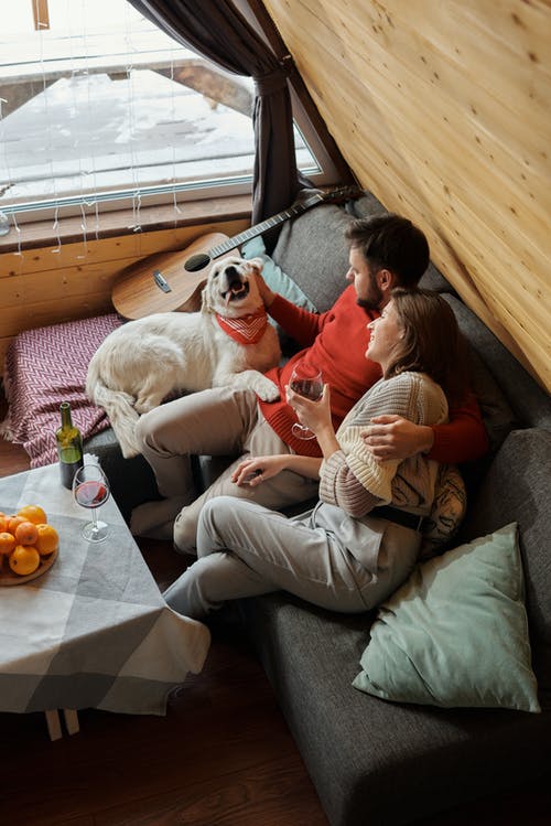 有关一對, 一起, 人的免费素材图片