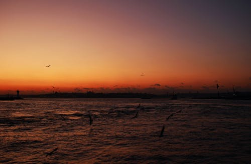 有关伊斯坦堡, 剪影, 土耳其的免费素材图片