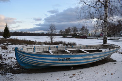 有关下落, 光秃秃的树木, 冬季的免费素材图片