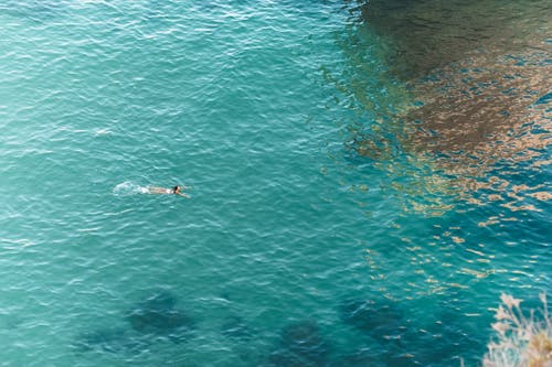 有关夏天, 女人, 水體的免费素材图片