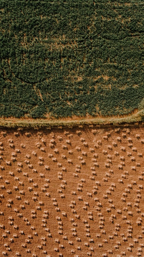 有关Copyspace, 俯視圖, 农艺学的免费素材图片