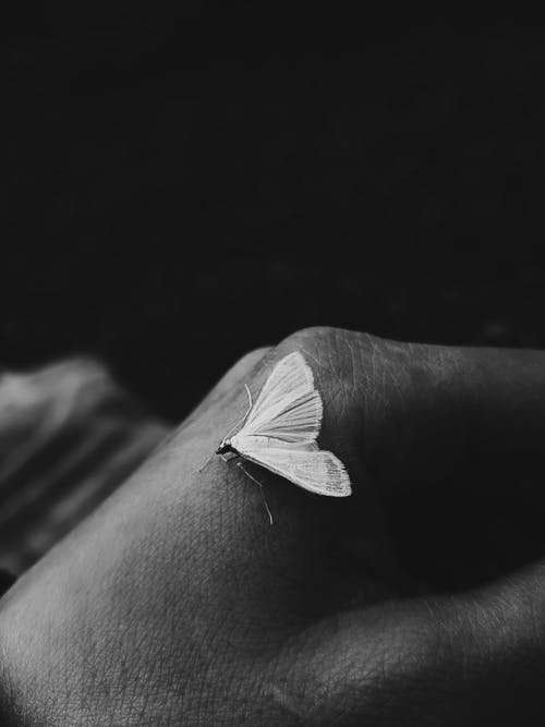 有关休息, 垂直拍摄, 手的免费素材图片