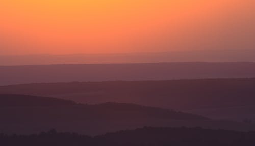 有关剪影, 壁紙, 天性的免费素材图片