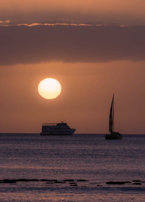 有关剪影, 垂直拍摄, 天空的免费素材图片