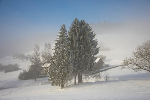 有关下雪的, 冬季, 冬季仙境的免费素材图片