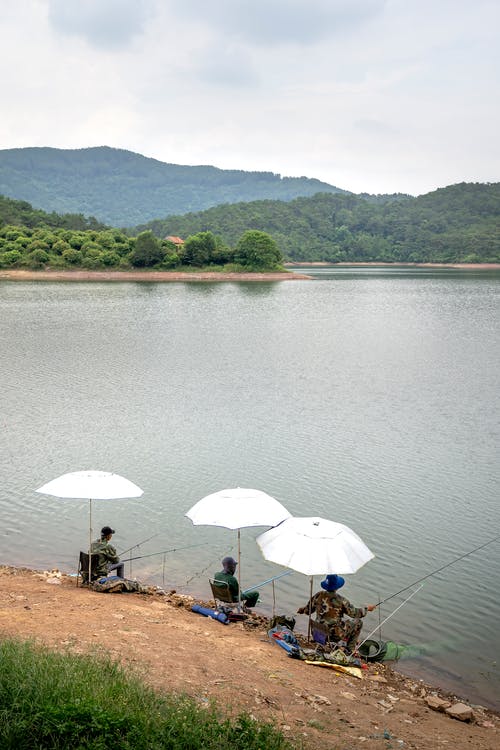 有关人, 垂直拍摄, 天性的免费素材图片