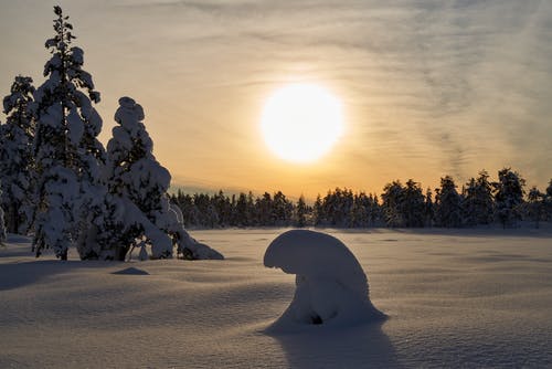 有关光, 冬季, 冰的免费素材图片
