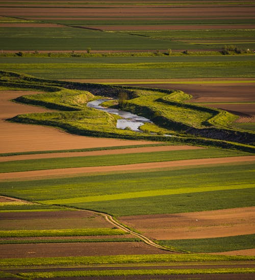 有关农业用地, 农村, 垂直拍摄的免费素材图片